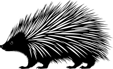 vector illustration of a porcupine