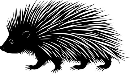 vector illustration of a porcupine