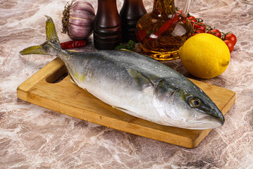 Raw Japanese Amberjack for cooking