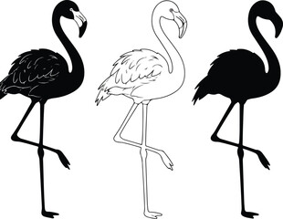 Flamingo bird design line drawing