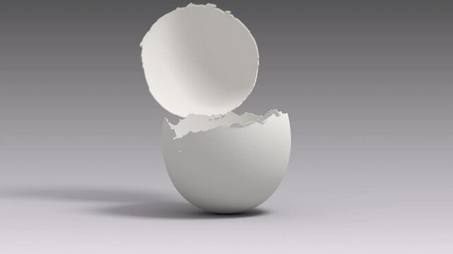 Hatching from an empty egg. 3d animation. 4k.