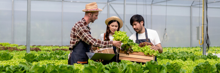 Agribusiness farmer and hydroponic farming concept, Team of agribusiness farmer inspecting quality...