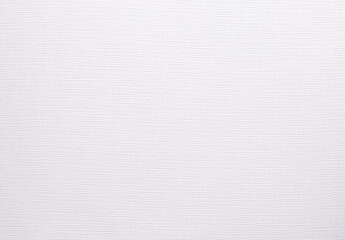 Elegant white paper texture with fine, subtle lines and a smooth surface. The grayscale macro