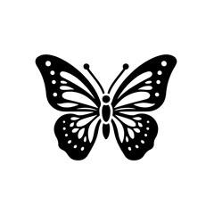 Obraz premium Butterfly Silhouette