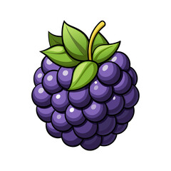 Blackberrry fruits 3d illustration vector style with white background