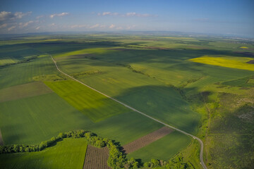 Winding roads through fields with sunrays, drone aerial view.