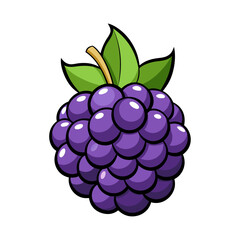 Blackberrry fruits 3d illustration vector style with white background