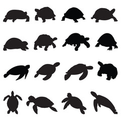 Set of turtles in different poses silhouettes vector. silhouettes of animals vector.