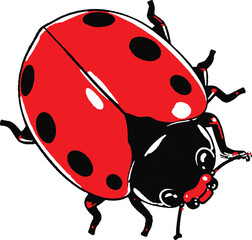 Red Ladybug Black Spots White Background Illustration