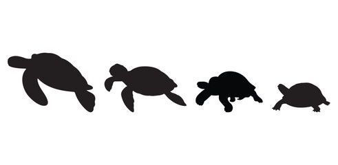 Turtle evolution silhouette vector. Set of turtle silhouette vector