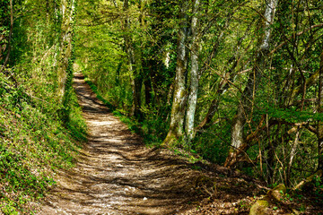 beautiful morning in the ancient city of Eichstatt