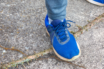 Male feet in blue sneakers break a branch after pruning a European larch. Gardening.