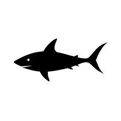 Obraz premium shark isolated on white