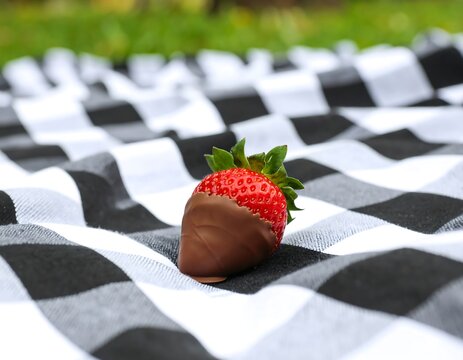 Chocolate-covered strawberry on checkered picnic blanket