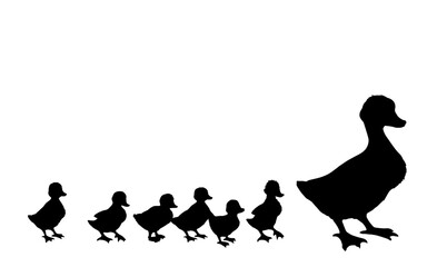 Mother duck with ducklings. Vector outline drawing