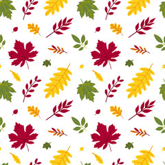 Seamless pattern of autumn leaves from different trees, ash, birch, oak, maple, chestnut. Flat vector style