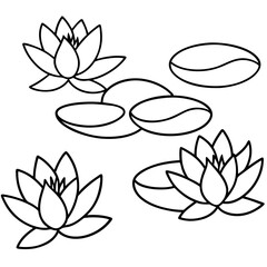 lotus flower set