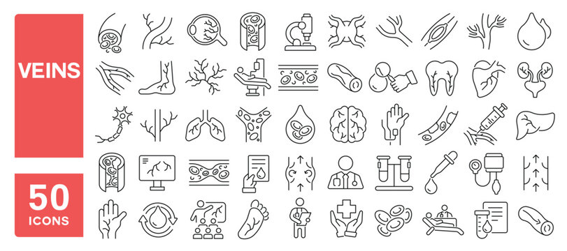 Set of 50 line icons related to veins, artery, vein, vascular, blood circulation, thrombosis, venous, vessel, Editable stroke. Vector illustration
