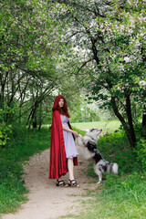 red-haired girl with curly hair sits with a marble-colored border collie dog. The girl in the...