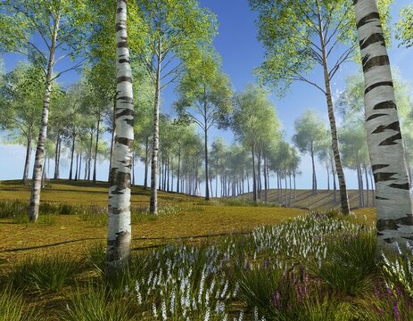 bucida buceras and silver birch trees 3d rendering