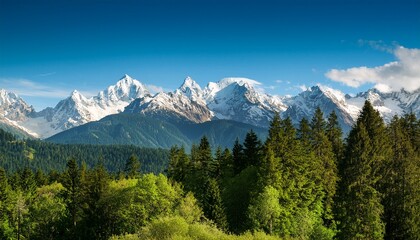 Fototapeta premium majestic snow capped mountains rise above a lush green forest