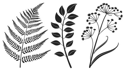 black silhouette illustrations of various botanical elements including a fern frond, leafy branches isolated on white background.