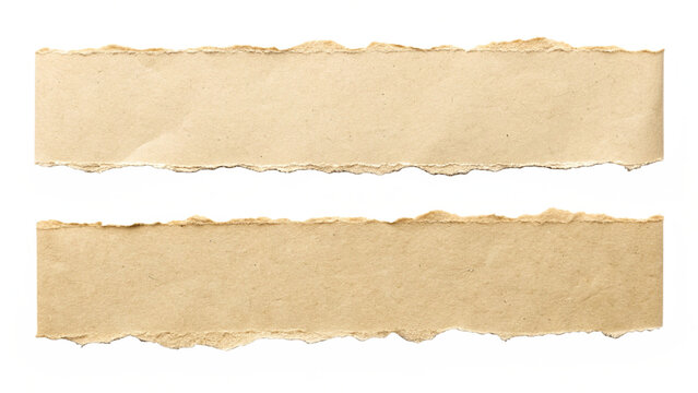 old paper with torn edges isolated on white background.