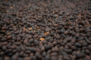 Tosted Colombian coffee,  axis of the coffee triangle