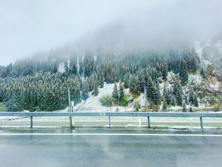 Snow-capped mountains and trees in a picturesque spring in the Swiss Alps,