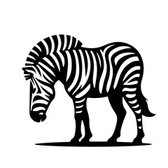 Obraz premium zebra silhouette 
