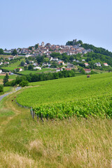 Sancerre Village on a Hill in France, Viewed from Afar – June 9, 2025