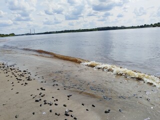 lake, water, landscape, nature, sky, river, summer, clouds