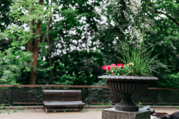 A vibrant flower pot blooms in a park, adding beauty to the natural surroundings with a bench in...