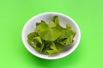 Gotu kola plant, Fresh green leaves of herb