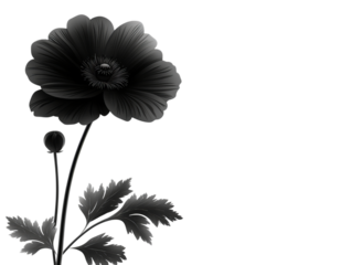 An elegant black flower illustration, showcasing the intricate details of its petals and stem against a clean background.