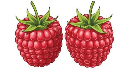 Two Fresh Ripe Red Raspberries with Green Stems

