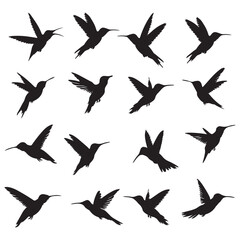 Collection of Hummingbird Silhouettes in Various Flying Poses Isolated on White Background Graphic Design silhouette