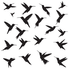 Obraz premium Collection of Hummingbird Silhouettes in Various Flying Poses Isolated on White Background Graphic Design silhouette