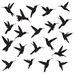 Collection of Hummingbird Silhouettes in Various Flying Poses Isolated on White Background Graphic Design silhouette