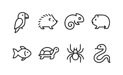 Minimalist animal icons: bird, hedgehog, chameleon, hamster, fish, turtle, spider, snake vector illustration