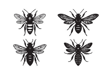 Silhouette Vector Set of Bees with Detailed Wings and Body Patterns
