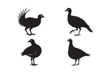Silhouette Collection of Game Birds Vector Icons of Grouse, Quail, Pheasant, and Partridge