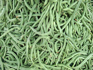 Fresh green asparagus beans displayed at market in Spain, showcasing their vibrant texture and natural appeal