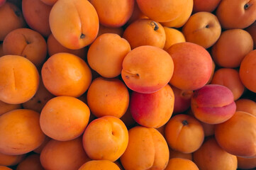 Fresh ripe orange apricots at a bustling market in Spain during summer harvest season