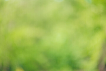Natural abstract defocused background. Defocused plants, greenery.
