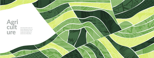 Farm field landscape with agriculture pattern of rice and vineyard, abstract green background, nature texture. Organic hills, tea plantation, valley panorama, eco paddy, spring harvest, vineyard view