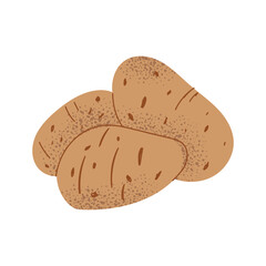 Potatoes. Hand drawn root vegetables in flat style. Fresh organic food for cooking. Vector illustration isolated on white background.