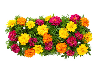 Obraz premium Vibrant Marigold Floral Arrangement A Burst of Color and Beauty