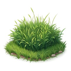 green grass isolated on white background