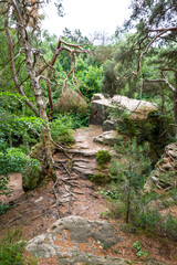 Naturdenkmal Katzensteine